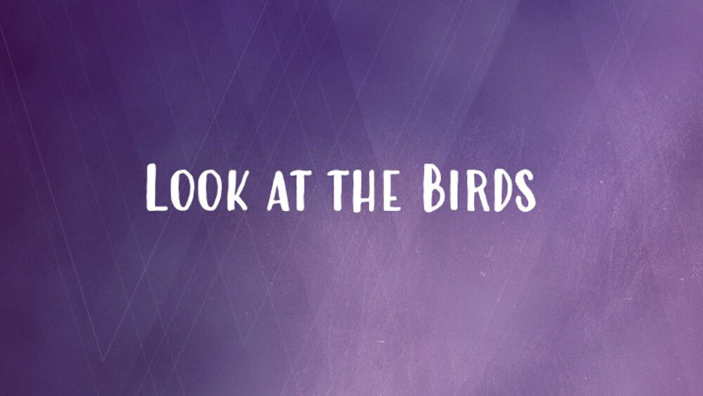 Look at the Birds